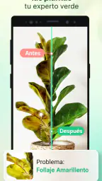 Plant Parent - Guía de cuidado 2
