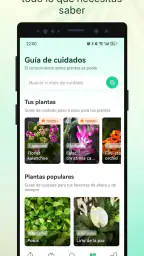 Plant Parent - Guía de cuidado 6
