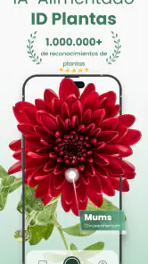 Plantify Identificador Plantas screenshot