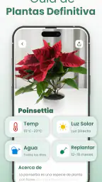 Plantify Identificador Plantas 2
