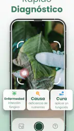Plantify Identificador Plantas 4
