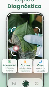 Plantify Identificador Plantas screenshot