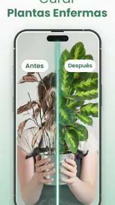 Plantify Identificador Plantas screenshot