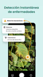 Plantix - doctor de cultivos 1