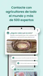 Plantix - doctor de cultivos 5