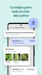 Plantix - doctor de cultivos 6