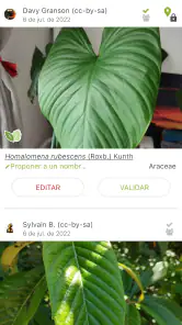 PlantNet Identifica Plantas screenshot