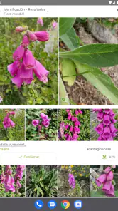 PlantNet Identifica Plantas screenshot