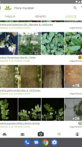 PlantNet Identifica Plantas screenshot
