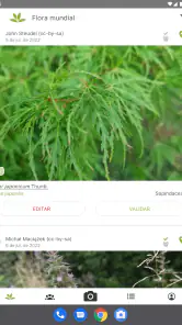 PlantNet Identifica Plantas screenshot