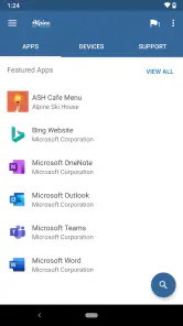 Portal empresa Intune screenshot