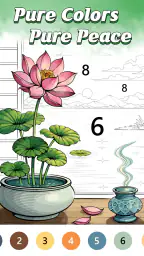 Pure Color by Number Book 6