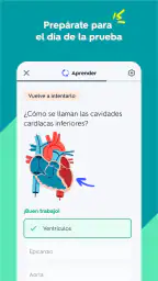 Quizlet: fichas creadas con IA 3