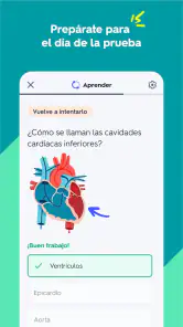Quizlet: fichas creadas con IA screenshot