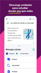 Quizlet: fichas creadas con IA 4