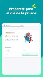 Quizlet: fichas creadas con IA 8