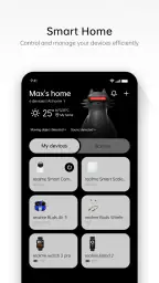 realme Link 2