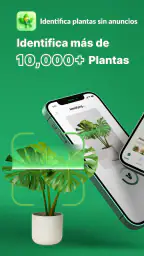 Reconocimiento De Plantas App 1