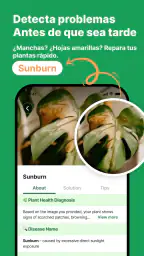 Reconocimiento De Plantas App 3