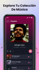 Reproductor de música screenshot