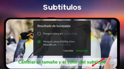 Reproductor de Vídeo y Música 8