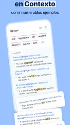Reverso Traductor, Diccionario 2