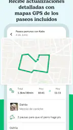 Rover - Cuidadores de perros 5