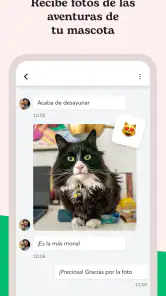 Rover - Cuidadores de perros screenshot