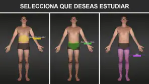 RX - Posiciones Radiológicas screenshot