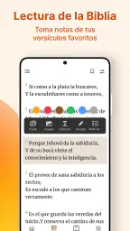 Santa Biblia Reina Valera 4