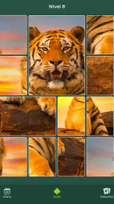 Cardscapes: Rompecabezas screenshot