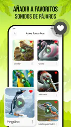 Sonidos de pájaros 4