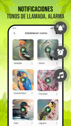 Sonidos de pájaros 5