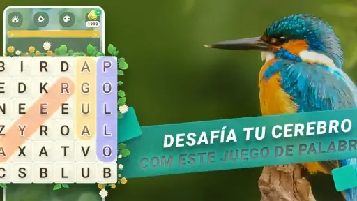 Sopa de Letras en Español 6