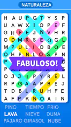 Sopa de Letras Español 8