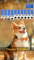Spider Solitaire 7