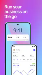 Stripe Dashboard 1