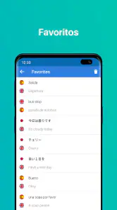 Talk & Translate AI Translator screenshot