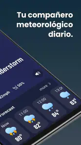 Tiempo en Vivo screenshot
