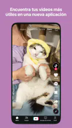 TikTok Pro 4