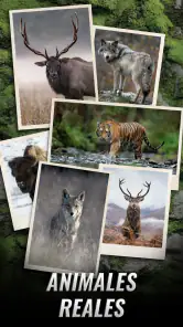 Trophy Hunter: caza de trofeos screenshot
