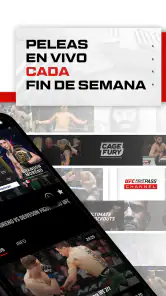 UFC screenshot