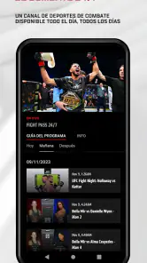UFC screenshot