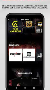 UFC screenshot