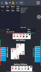 Ultimate Bridge 1