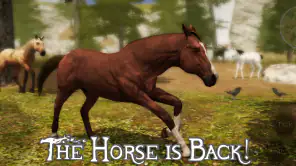 Ultimate Horse Simulator 2 screenshot