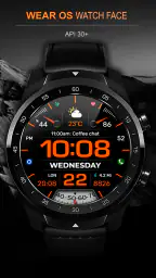 WFP 233 Digital watch face 6