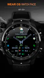 WFP 236 Hybrid watch face 7