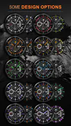 WFP 300 Tomcat PRO 2
