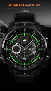 WFP 300 Tomcat PRO screenshot